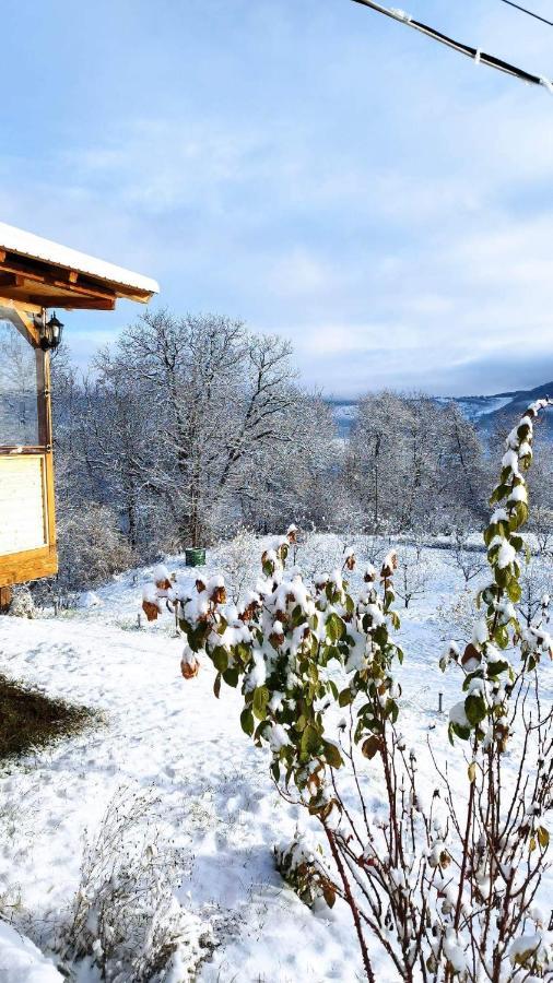 Casa Veche Corbeni Hotel Екстериор снимка